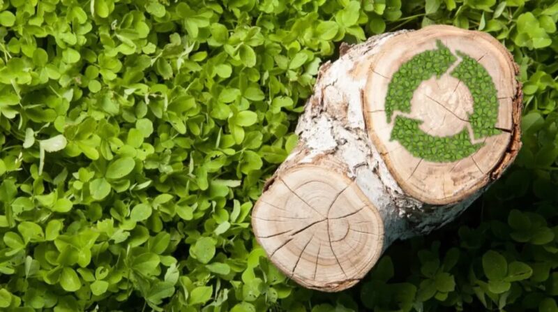 Holzklotz mit Kreis aus grünen Pfeilen auf Kleewiese - Symbolbild für Biomasse, Bioenergie und Nachhaltigkeit.