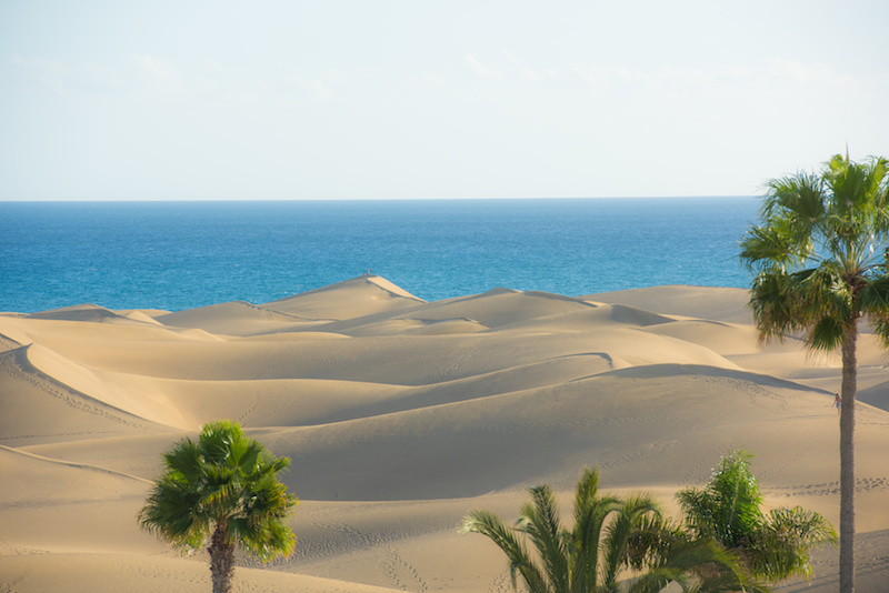 im Vordergrund Palmen und Sanddünen. Im Hintergrund das Meer.