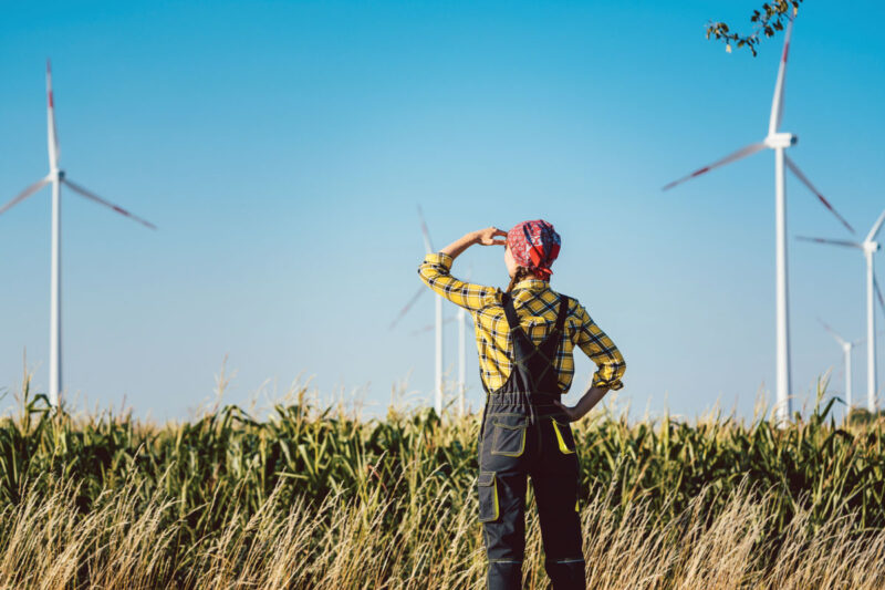 Frau in bäuerlicher Arbeitskleidung schaut in die Ferne auf einen Windpark - Symolbild für den Blick in die ungewisse Zukunft des EEG.