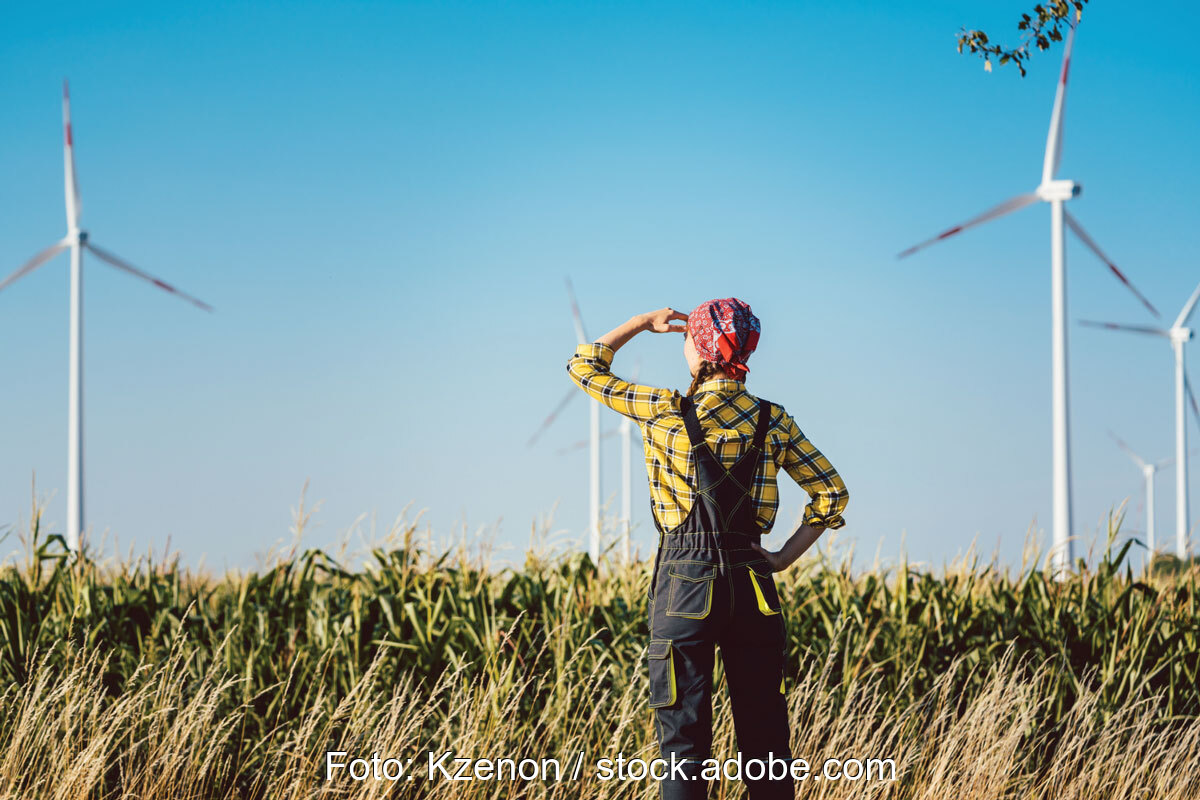 Frau in bäuerlicher Arbeitskleidung schaut in die Ferne auf einen Windpark - Symolbild für den Blick in die ungewisse Zukunft des EEG.