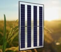 Das neue Agri-PV-Doppelglas-Modul von Gridparity.