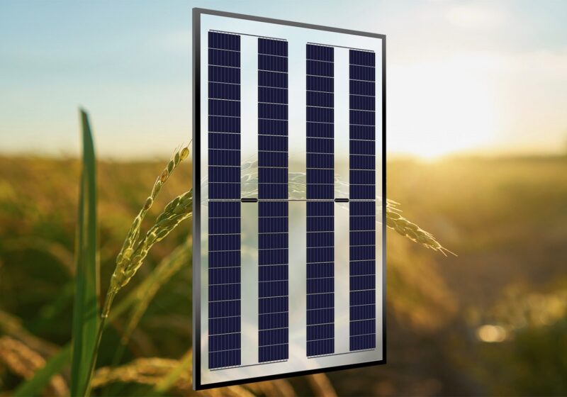 Das neue Agri-PV-Doppelglas-Modul von Gridparity.