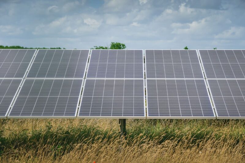Photovoltaikmodule über einer landwirtschaftlich nutzbaren Fläche aus Gräsern.