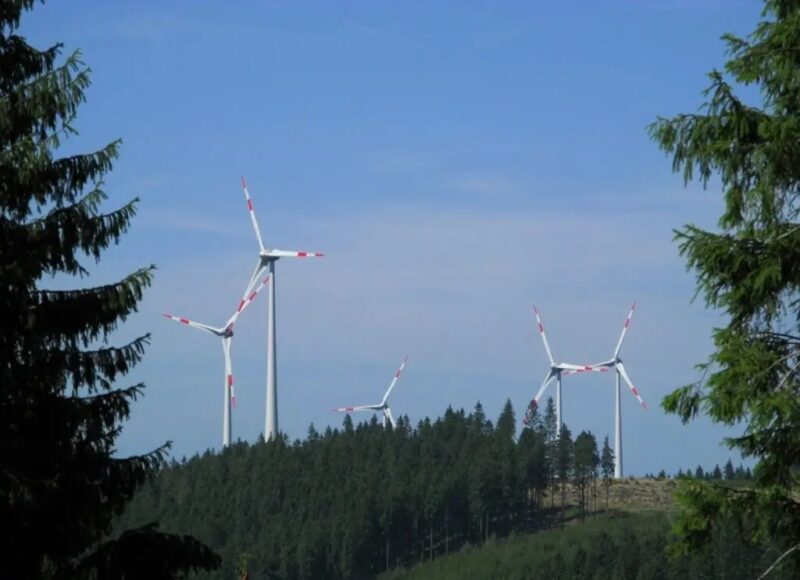 Zu sehen sind Windenergie-Anlagen im Rothaargebirge. Bisher fehlen bundeseinheitliche Regelungen zum Artenschutz bei Windenergie-Genehmigungen.