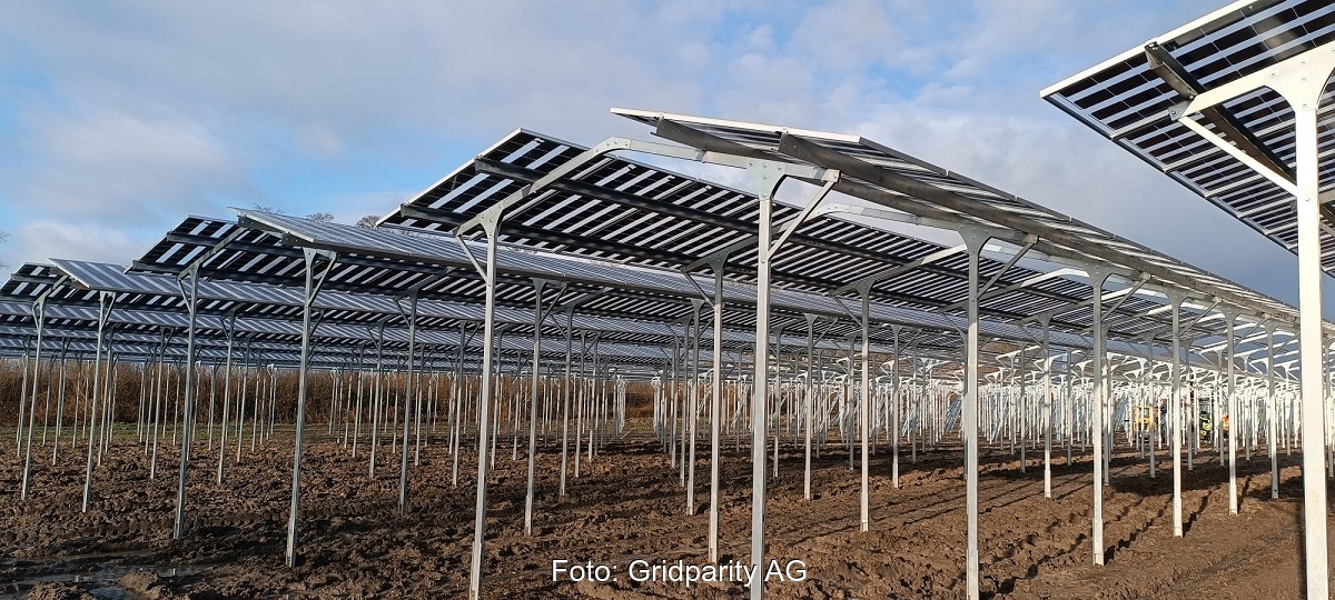 Im Bild die Beeren-PV-Anlage für den Erdbeerhof Aschof.