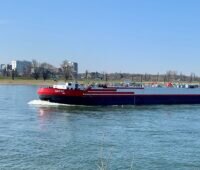 Ein Binnenschiff fährt auf dem Rhein bei blauem Himmel.