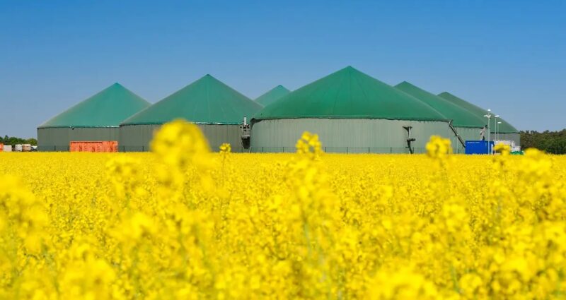 Im Bild eine Biogasanlage. Biogas kann zu Biomethan aufbereitet werden.