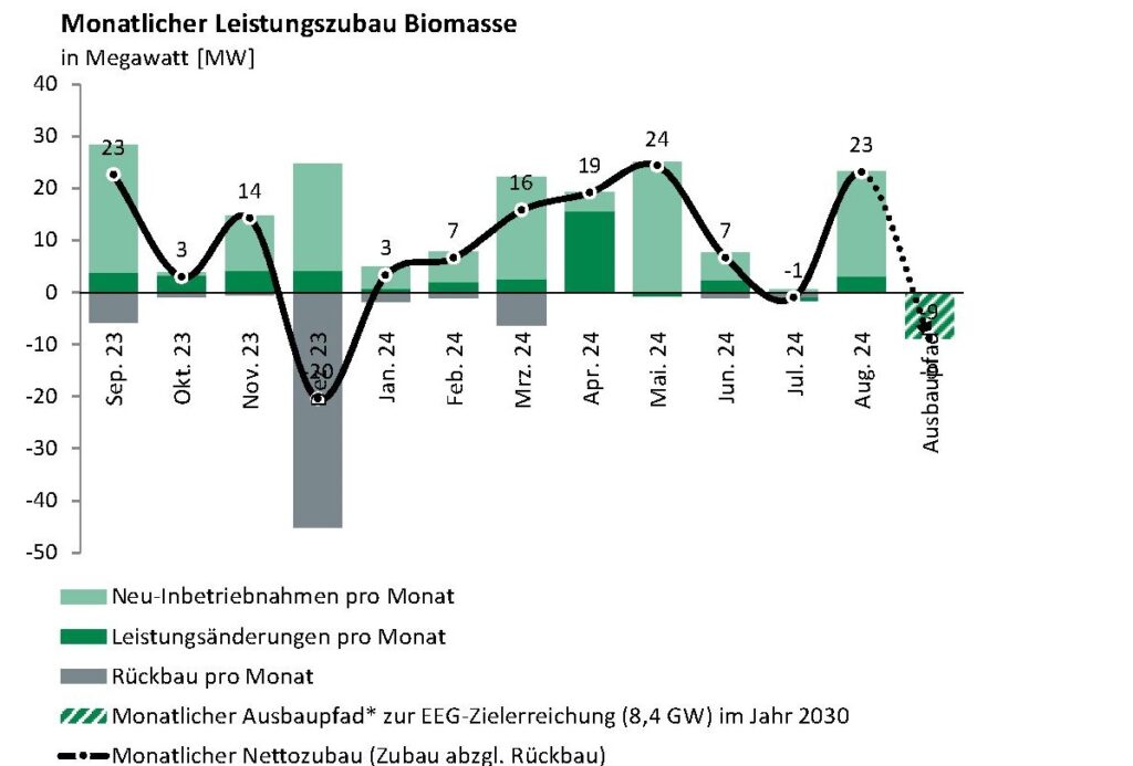 Im Bild ein Balkendiagramm mit dem Biomasse-Zubau im August 2024.