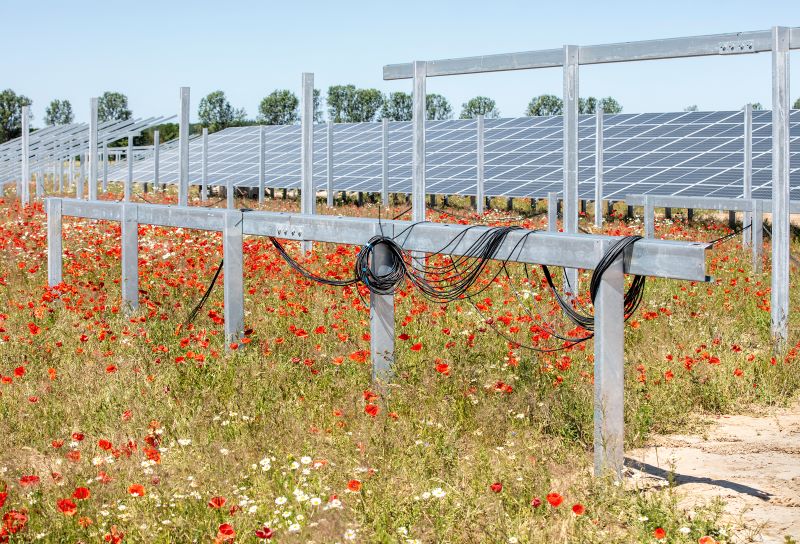Solaranlage im Freiflächenbau auf trockenem Gras und Mohnblumen