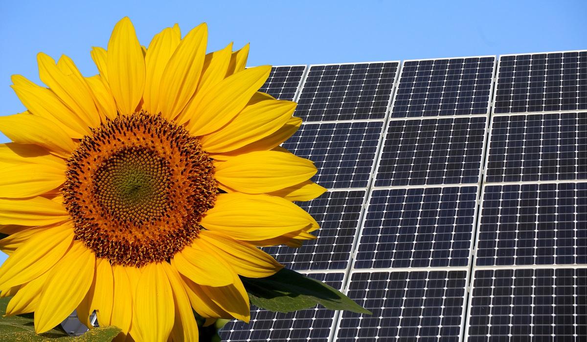 Sonnenenergie / Solar und Sonnenblume foto de Stock