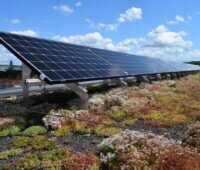 Eine Photovoltaikanlage auf einem Flachdach mit Pflanzen