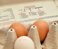 Eierkarton mit drei Eiern und Zahlenstempel - Symbol für Ökostrom Herkunftsnachweis