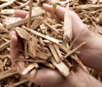 Biomasse wie Holzhackschnitzel sind beim Bonus für erneuerbare Wärme in der Novelle des Kraftwärmekopplungsgesetzes ausgenommen.