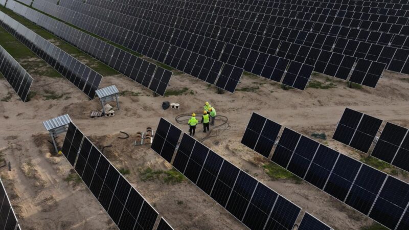 Luftbild zeigt aufgeständerte Solarmodule auf sandigem Boden, zwischen denen Bauarbeiter stehen.