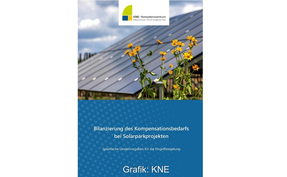 Cover der Publikation Bilanzierung des Kompensationsbedarfs bei Solarparkprojekten.