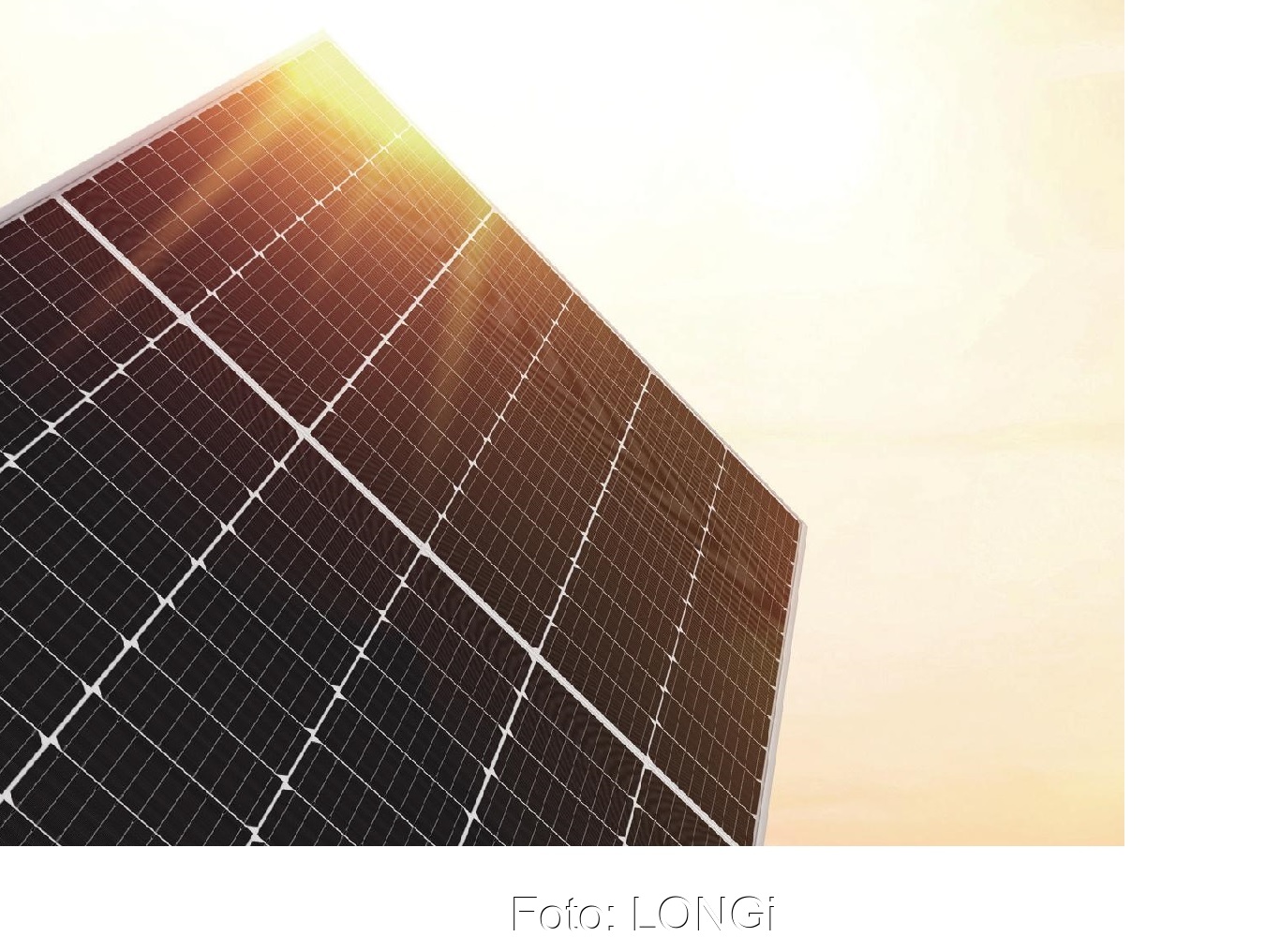 LONGi Geschäftsbericht 2019: Starkes Wachstum | Solarserver