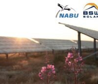 Zu sehen ist ein Ausschnitt des Deckblattes des gemeinsamen Papiers von NABU und BSW zu Kriterien für naturverträgliche Photovoltaik-Freiflächenanlagen.