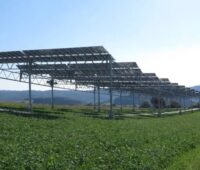 Zu sehen ist eine besondere Solaranlage nach der Innovationsausschreibungsverordnung. Es handelt sich um eine Agri-Photovoltaik-Anlage mit PV-Modulen über einer landwirtschaftlich genutzten Fläche.