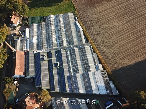 Photovoltaik für Pflanzenzüchtung | Solarserver