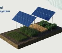 Ein Schema zeigt die aufgeständerten Photovoltaik-Module des Agri-PV-Systems von RWE.