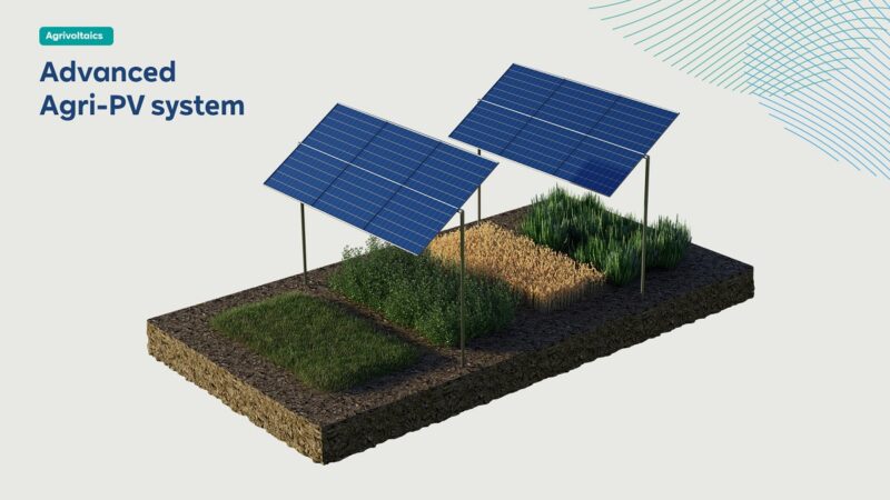 Ein Schema zeigt die aufgeständerten Photovoltaik-Module des Agri-PV-Systems von RWE.