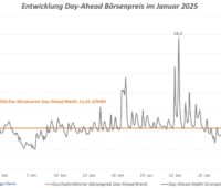 Im Bild eine Grafik der Strompreise im Januar 2025, 14 Stunden lang gab es negative Strompreise.