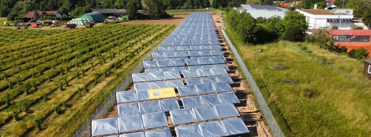 Solarer Rinderstall ohne Netz