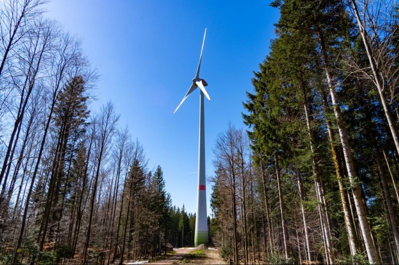 Eine Windenergieanlage steht im Wald zwischen Bäumen.