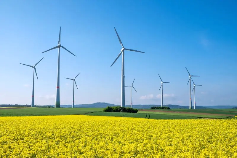 Zu sehen ist ein Windpark. Stiftung Umweltenergierecht hat Reformvorschläge zur Beschleunigung des Windenergieausbaus unterbreitet.