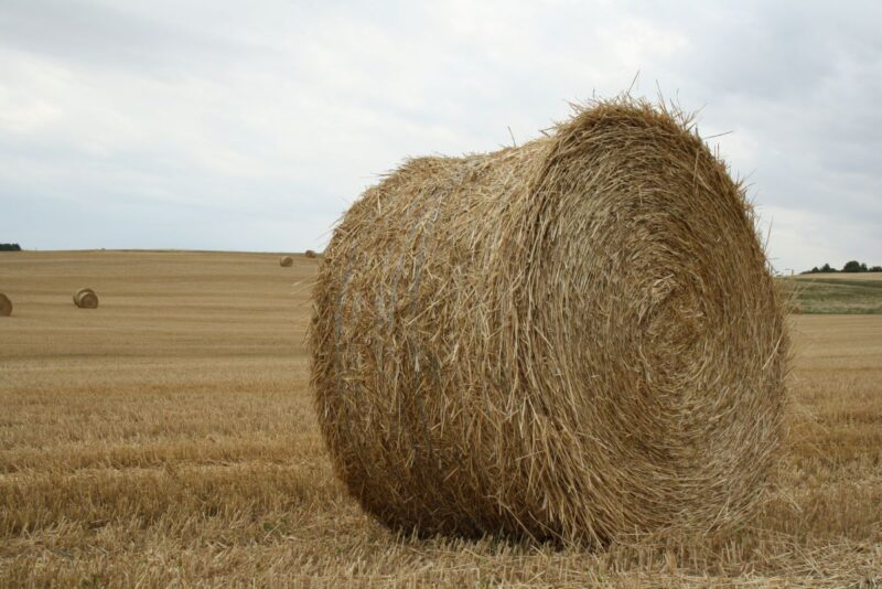 Strohballen auf einem Stoppelfeld im Spätsommer.