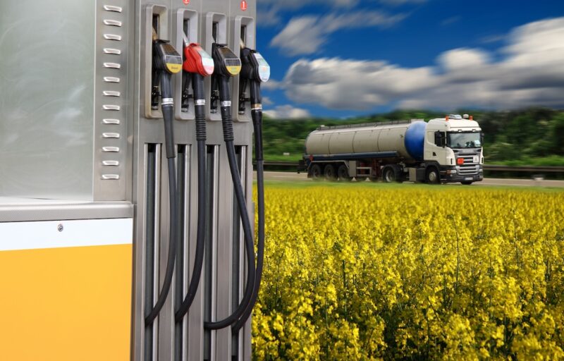 Zapfsäule, Rapsfeld, Lkw in einer Montage, Symbol für Einbruch bei Biodiesel-Absatz 2024