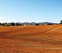 Hügelige Agrar-Landschaft in Portugal