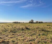 Trockene Moorlandschaft unter blauem Himmel.